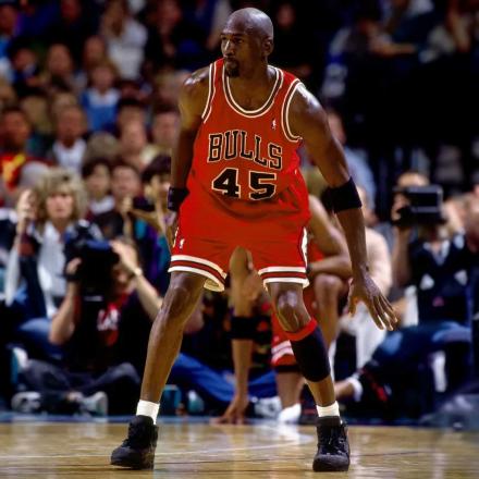 ナイキ エアジョーダン 10 "シャドウ"